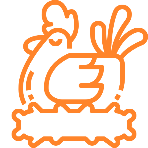 chicken